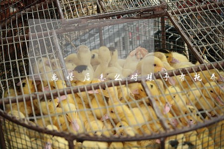 离婚后怎么对孩子有抚养权