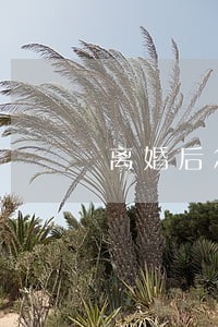 离婚后怎么才能过的最好 离婚后怎么才能过的最好