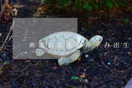 离婚后怎么给孩子办出生证