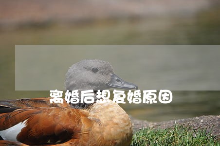 离婚后想复婚原因