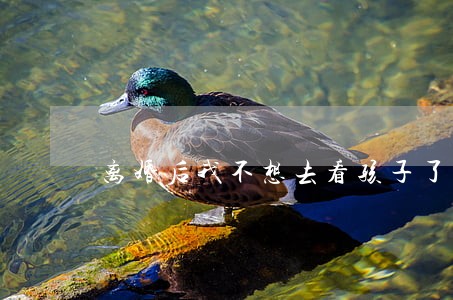 离婚后我不想去看孩子了 离婚后我不想去看孩子了