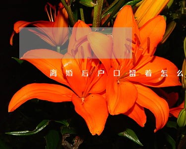 离婚后户口留着怎么迁走 离婚后户口留着怎么迁走