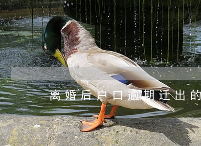 离婚后户口逾期迁出的违约金 离婚后户口逾期迁出的违约金