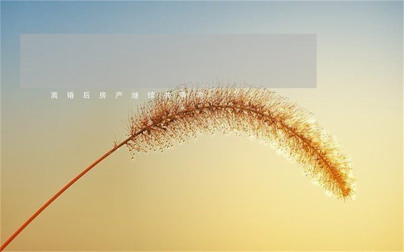 离婚后房产继续共有吗 离婚后房产继续共有吗