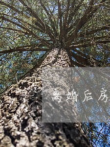 离婚后房子判一人一半不同意卖 离婚后房子判一人一半不同意卖
