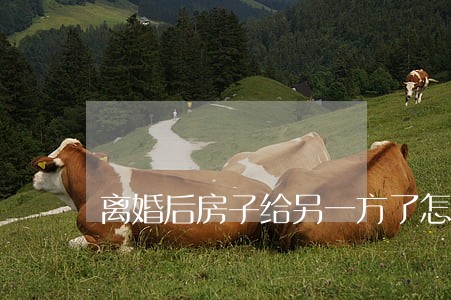 离婚后房子给另一方了怎么过户 离婚后房子给另一方了怎么过户