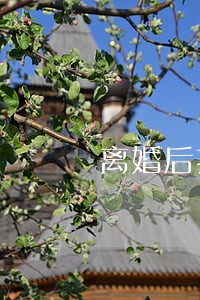 离婚后打电话借20万