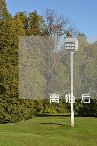 离婚后找对象应该注意什么 离婚后找对象应该注意什么