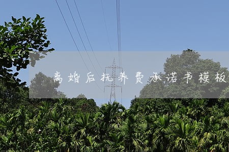 离婚后抚养费承诺书模板 离婚后抚养费承诺书模板