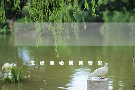 离婚后挽回巨蟹男 离婚后挽回巨蟹男