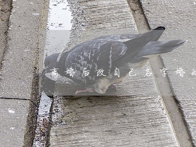 离婚后改自己名字婚姻状态 离婚后改自己名字婚姻状态