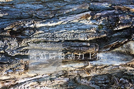 离婚后没动力上班 离婚后没动力上班
