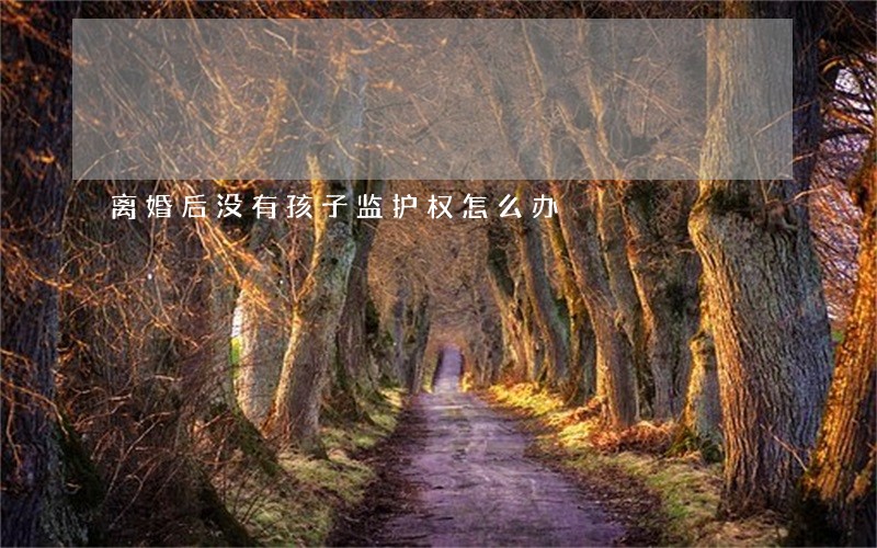离婚后没有孩子监护权怎么办 离婚后没有孩子监护权怎么办