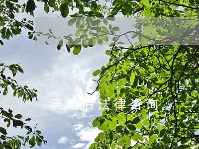 离婚后法律咨询