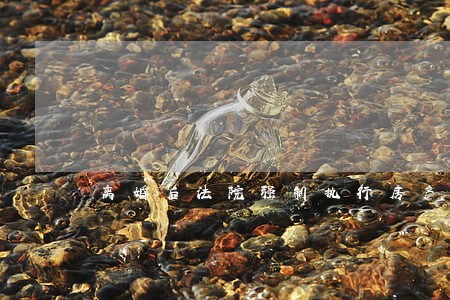 离婚后法院强制执行房产
