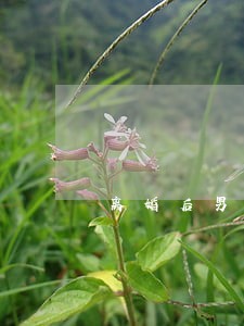 离婚后男人说没有家了怎么办 离婚后男人说没有家了怎么办