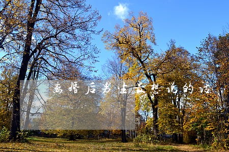 离婚后男生最想说的话 离婚后男生最想说的话