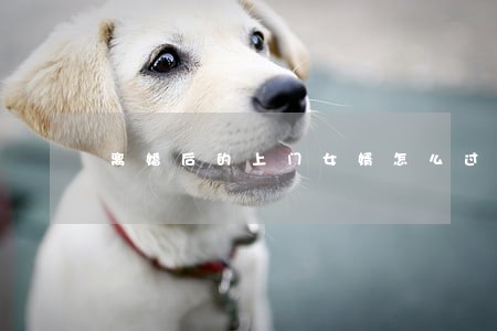 离婚后的上门女婿怎么过年 离婚后的上门女婿怎么过年