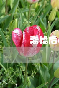离婚后的保险怎么更改投保人 离婚后的保险怎么更改投保人