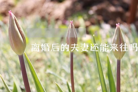 离婚后的夫妻还能来往吗 离婚后的夫妻还能来往吗