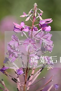 离婚后的女人千万别嫁给情人