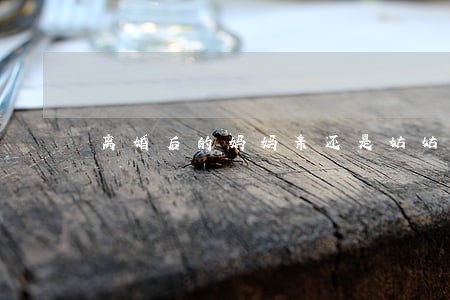 离婚后的妈妈亲还是姑姑亲 离婚后的妈妈亲还是姑姑亲