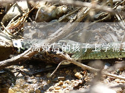 离婚后的孩子上学需要抚养权吗 离婚后的孩子上学需要抚养权吗