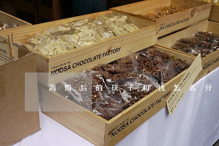 离婚后的孩子和钱怎么分 离婚后的孩子和钱怎么分