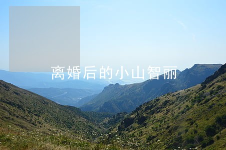 离婚后的小山智丽 离婚后的小山智丽