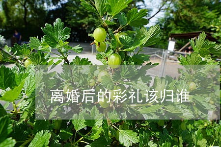 离婚后的彩礼该归谁