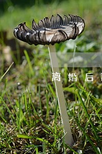 离婚后离婚协议咋样改 离婚后离婚协议咋样改