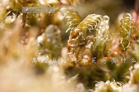 离婚后给对方买房有什么问题