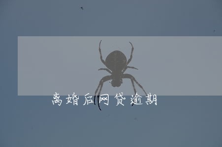 离婚后网贷逾期 离婚后网贷逾期