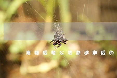 离婚后老公贷款逾期后的罚息 离婚后老公贷款逾期后的罚息