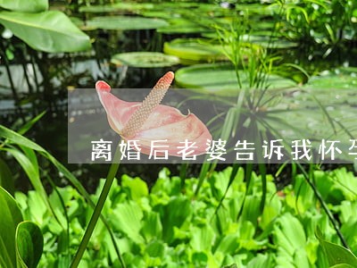 离婚后老婆告诉我怀孕 离婚后老婆告诉我怀孕