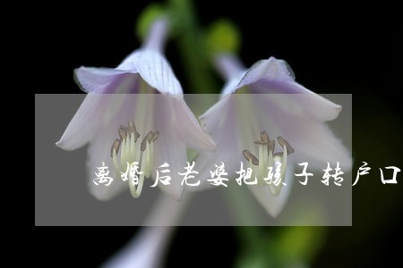 离婚后老婆把孩子转户口 离婚后老婆把孩子转户口