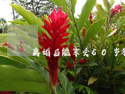 离婚后能享受60岁独生子补贴吗 离婚后能享受60岁独生子补贴吗