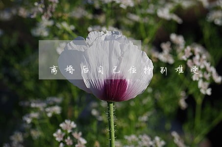 离婚后自己住特别难受 离婚后自己住特别难受