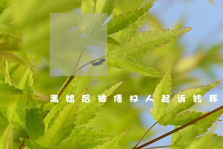 离婚后被债权人起诉转移财产 离婚后被债权人起诉转移财产