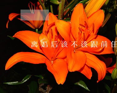 离婚后该不该跟前任联系看孩子 离婚后该不该跟前任联系看孩子