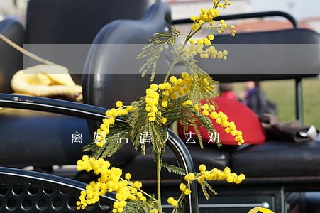 离婚后请人去劝 离婚后请人去劝