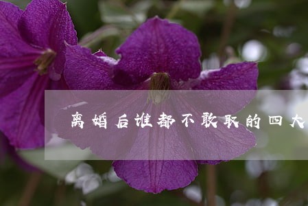 离婚后谁都不敢取的四大女星 离婚后谁都不敢取的四大女星