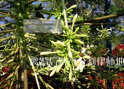 离婚后财产分割律师地址 离婚后财产分割律师地址