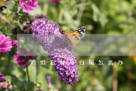 离婚后财产归属怎么办 离婚后财产归属怎么办