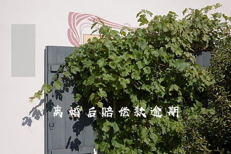 离婚后赔偿款逾期 离婚后赔偿款逾期