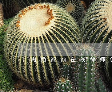 离婚咨询在线律师免费 离婚咨询在线律师免费