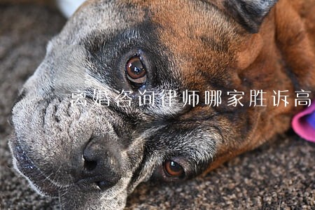 离婚咨询律师哪家胜诉高创造辉煌 离婚咨询律师哪家胜诉高创造辉煌