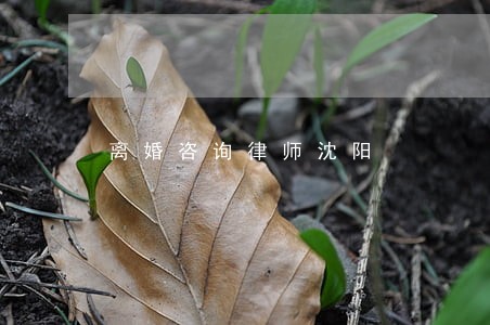 离婚咨询律师沈阳 离婚咨询律师沈阳