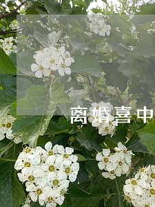 离婚喜中三千万前妻求复合 离婚喜中三千万前妻求复合