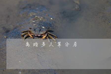 离婚多久算分居 离婚多久算分居